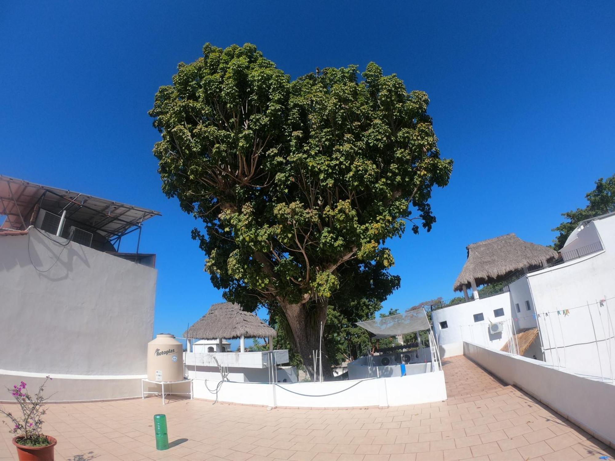 Casa Arbol De Paz Habitacion Doble Chacala  Bagian luar foto