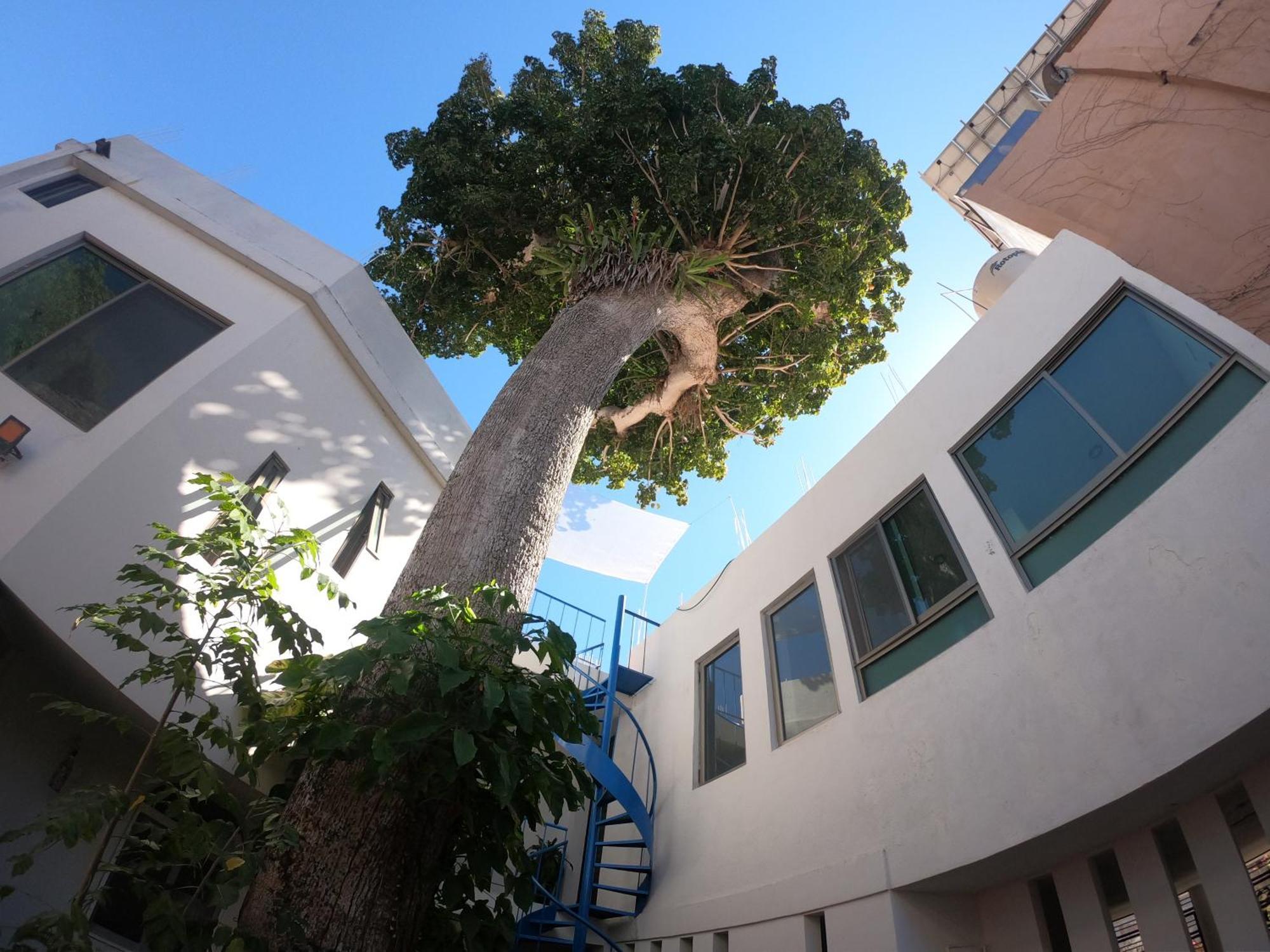 Casa Arbol De Paz Habitacion Doble Chacala  Bagian luar foto